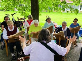 Lichtblicks Feeharfenzauber auf der Grünflächenunterhaltung 2025 Promenade Münster